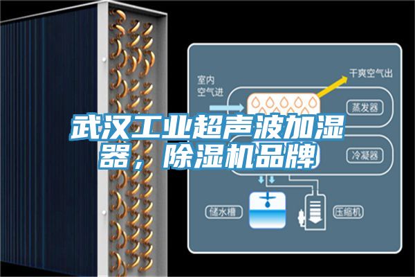 武漢工業超聲波加濕器，草莓视频污污污污品牌