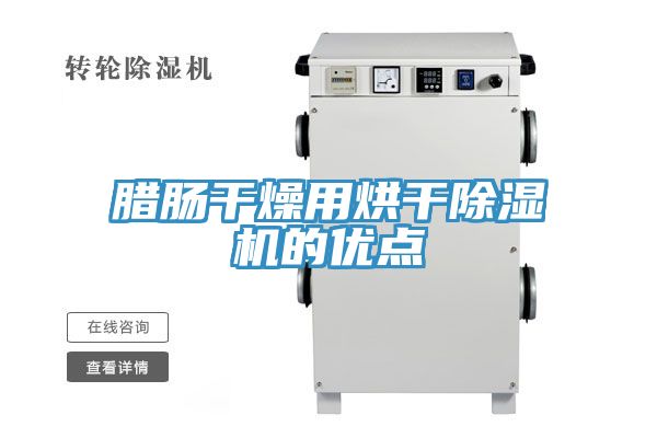 臘腸幹燥用烘幹草莓视频污污污污的優點