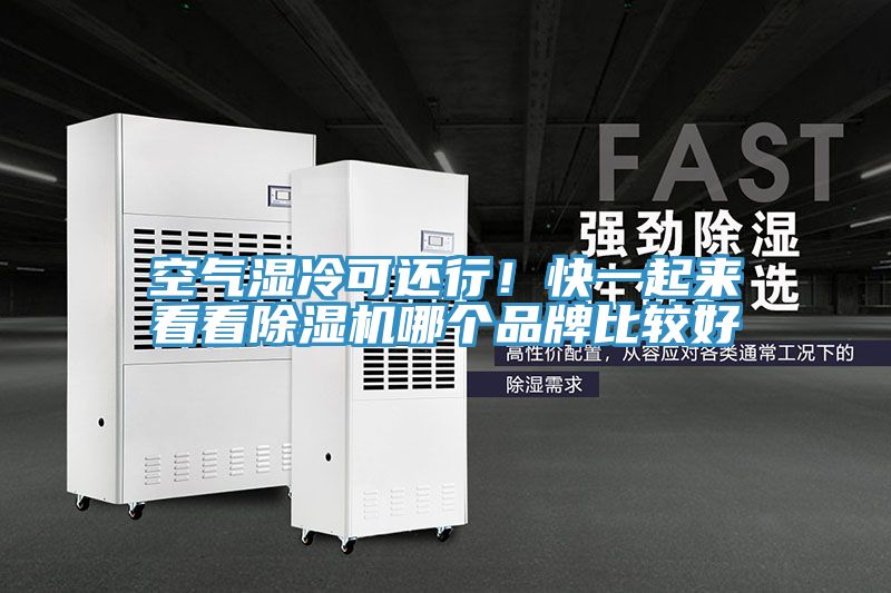 空氣濕冷可還行！快一起來看看草莓视频污污污污哪個品牌比較好