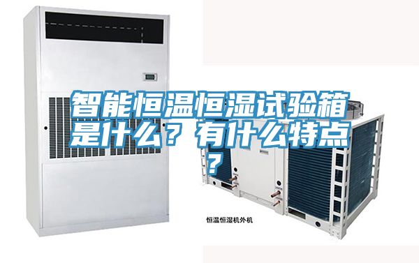 智能恒溫恒濕試驗箱是什麽？有什麽特點？