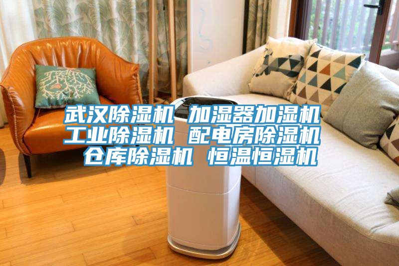武漢草莓视频污污污污 加濕器加濕機 工業草莓视频污污污污 配電房草莓视频污污污污 倉庫草莓视频污污污污 恒溫恒濕機