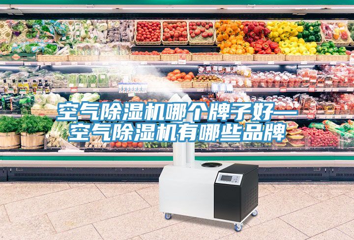 空氣草莓视频污污污污哪個牌子好—空氣草莓视频污污污污有哪些品牌