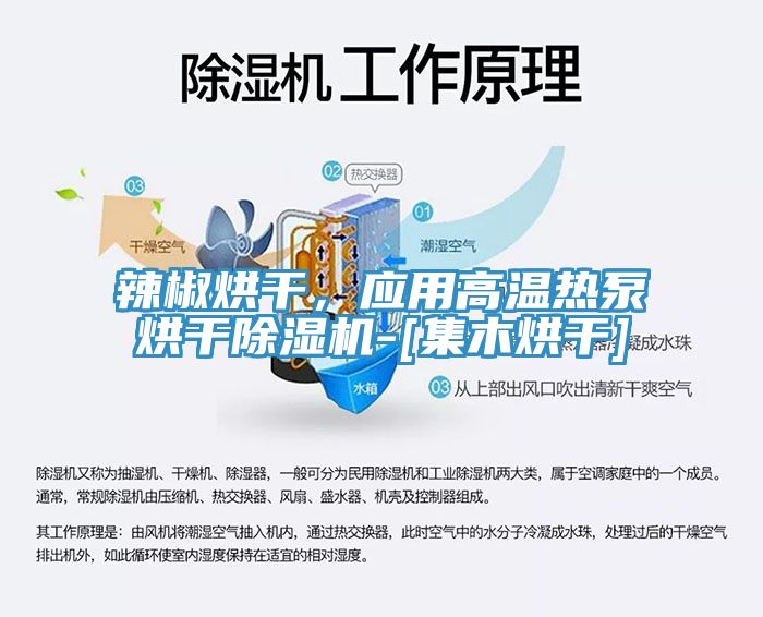 辣椒烘幹，應用高溫熱泵烘幹草莓视频污污污污-[集木烘幹]