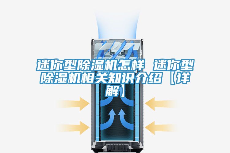 迷你型草莓视频污污污污怎樣 迷你型草莓视频污污污污相關知識介紹【詳解】