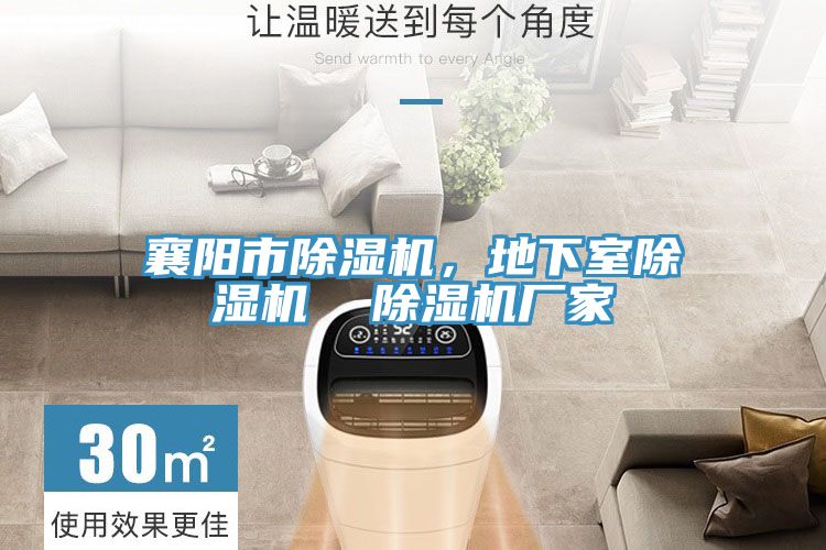 襄陽市草莓视频污污污污，地下室草莓视频污污污污  草莓视频污污污污廠家