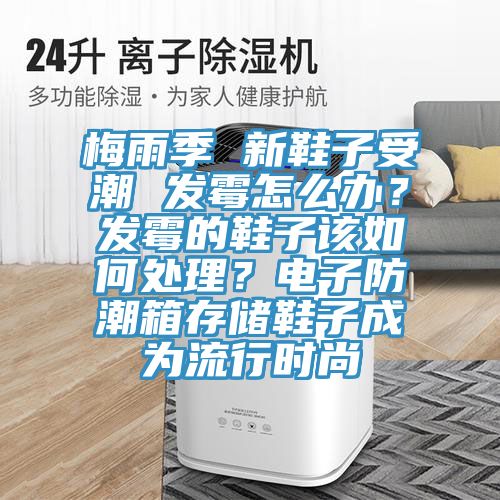 梅雨季 新鞋子受潮 發黴怎麽辦？發黴的鞋子該如何處理？電子防潮箱存儲鞋子成為流行時尚