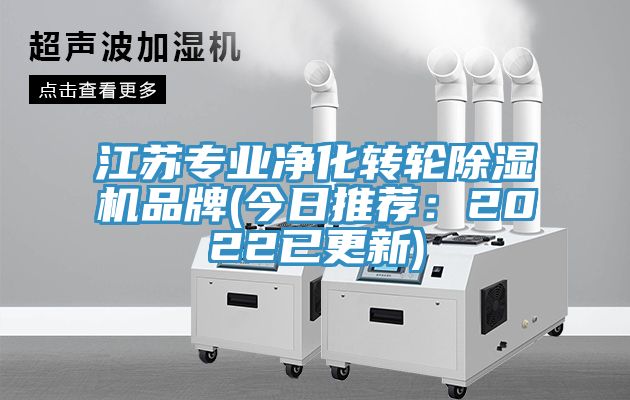 江蘇專業淨化轉輪草莓视频污污污污品牌(今日推薦：2022已更新)