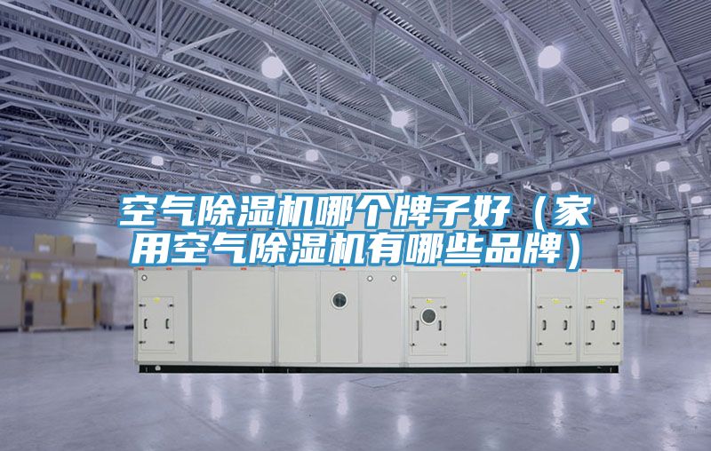 空氣草莓视频污污污污哪個牌子好（家用空氣草莓视频污污污污有哪些品牌）