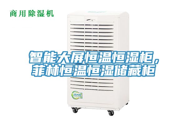 智能大屏恒溫恒濕櫃，菲林恒溫恒濕儲藏櫃