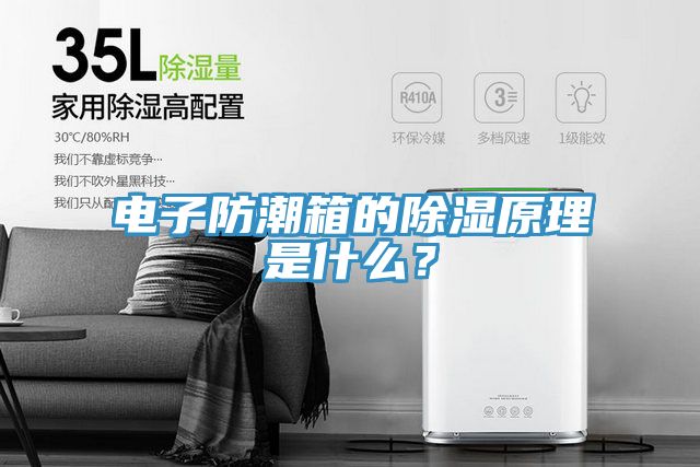 電子防潮箱的除濕原理是什麽？