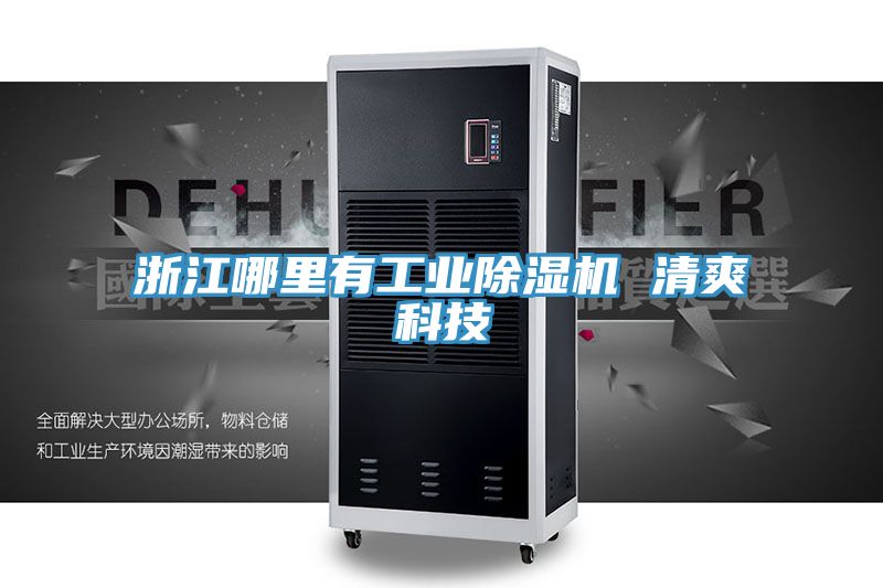 浙江哪裏有工業草莓视频污污污污 清爽科技