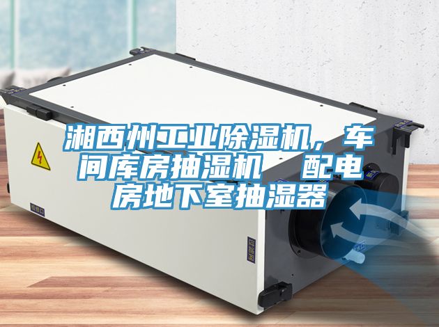 湘西州工業草莓视频污污污污，車間庫房抽濕機  配電房地下室抽濕器