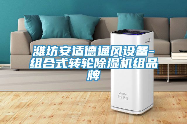 濰坊安適德通風設備-組合式轉輪草莓视频污污污污組品牌