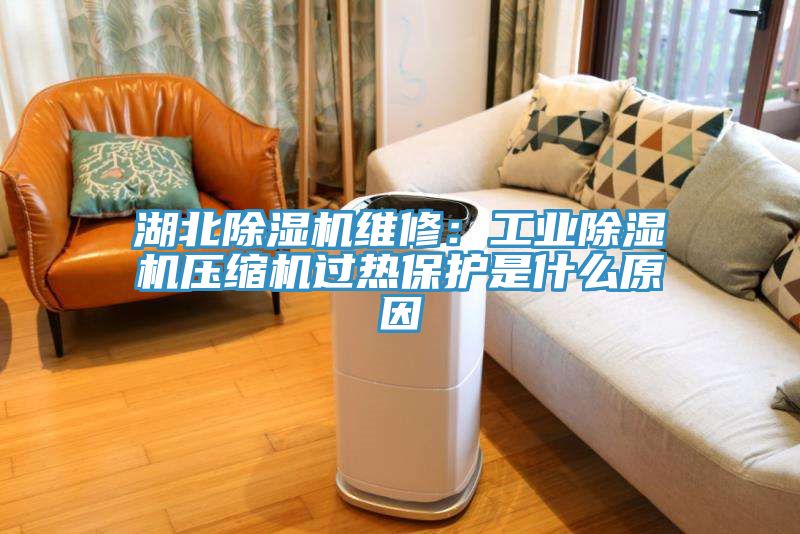湖北草莓视频污污污污維修：工業草莓视频污污污污壓縮機過熱保護是什麽原因