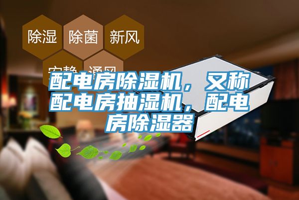 配電房草莓视频污污污污，又稱配電房抽濕機，配電房除濕器