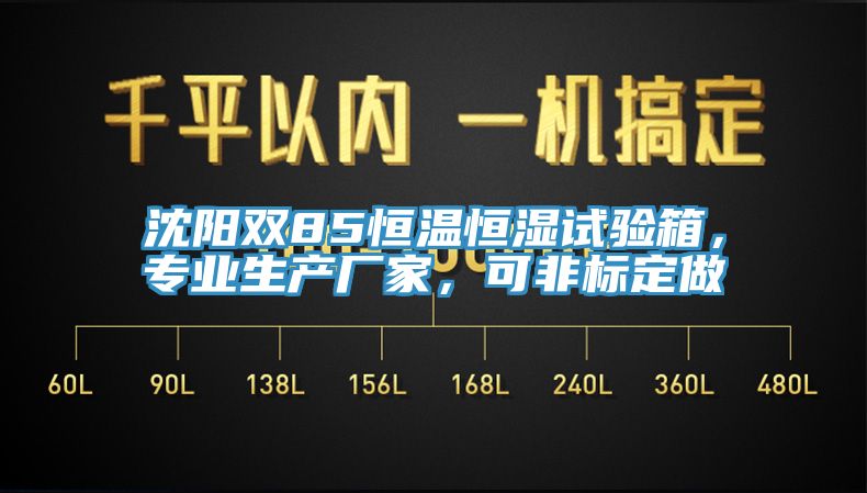 沈陽雙85恒溫恒濕試驗箱，專業生產廠家，可非標定做