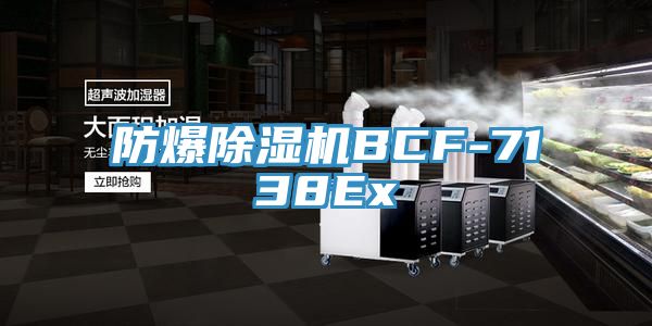 防爆草莓视频污污污污BCF-7138Ex