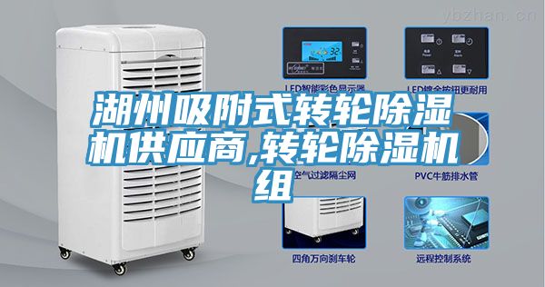 湖州吸附式轉輪草莓视频污污污污供應商,轉輪草莓视频污污污污組