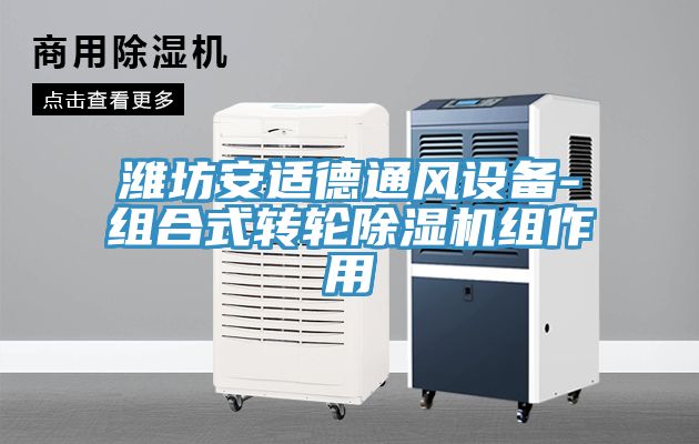 濰坊安適德通風設備-組合式轉輪草莓视频污污污污組作用