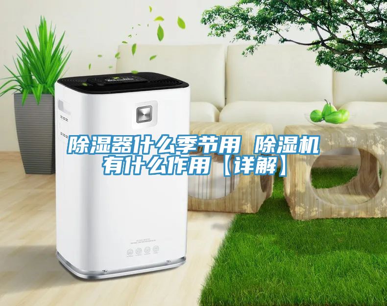 除濕器什麽季節用 草莓视频污污污污有什麽作用【詳解】