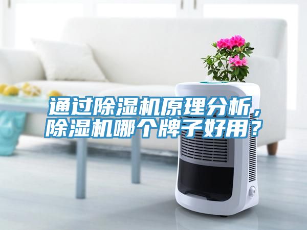 通過草莓视频污污污污原理分析，草莓视频污污污污哪個牌子好用？