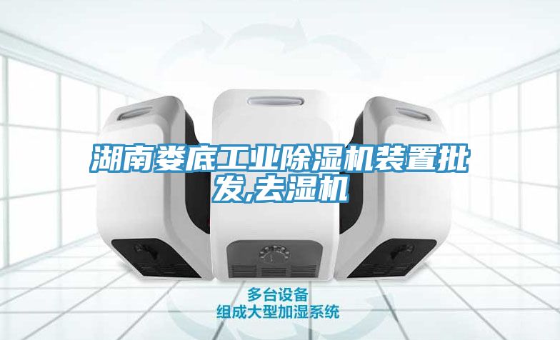 湖南婁底工業草莓视频污污污污裝置批發,去濕機