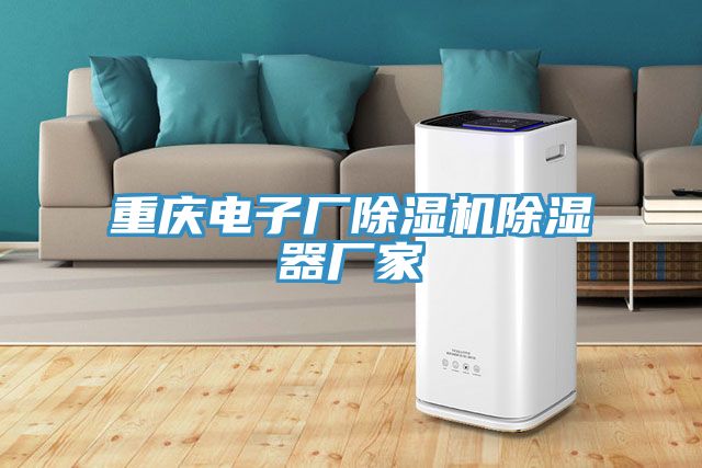 重慶電子廠草莓视频污污污污除濕器廠家