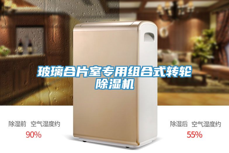 玻璃合片室專用組合式轉輪草莓视频污污污污