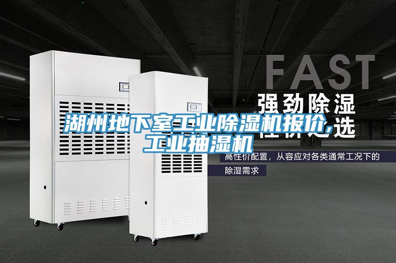湖州地下室工業草莓视频污污污污報價,工業抽濕機