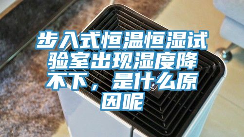步入式恒溫恒濕試驗室出現濕度降不下，是什麽原因呢