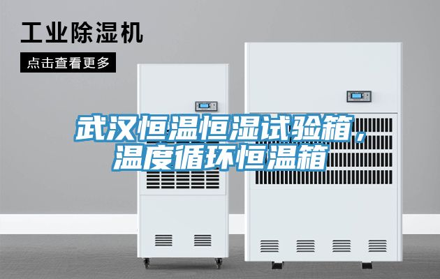 武漢恒溫恒濕試驗箱，溫度循環恒溫箱