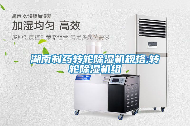 湖南製藥轉輪草莓视频污污污污規格,轉輪草莓视频污污污污組