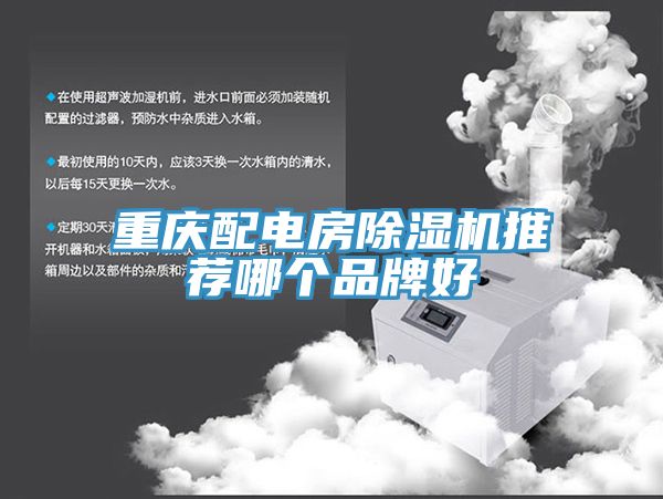 重慶配電房草莓视频污污污污推薦哪個品牌好
