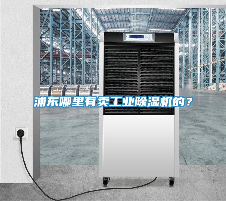浦東哪裏有賣工業草莓视频污污污污的？