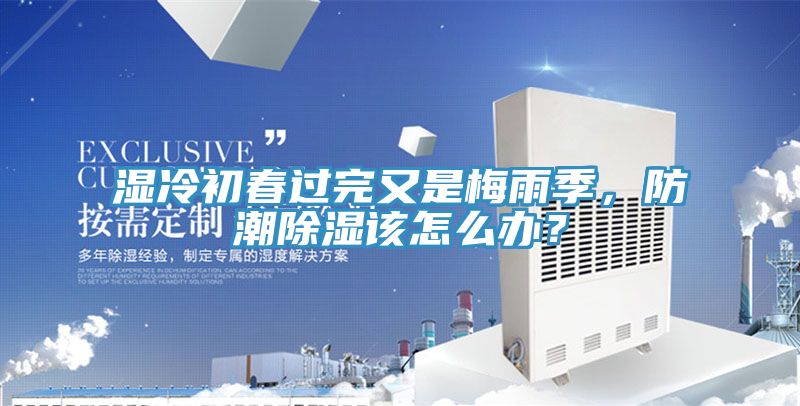 濕冷初春過完又是梅雨季，防潮除濕該怎麽辦？