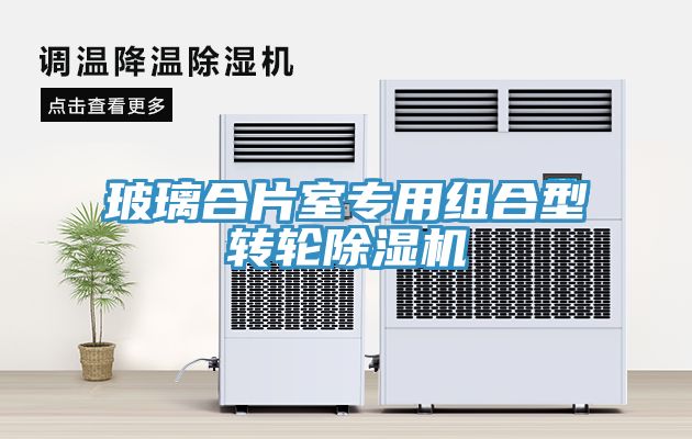 玻璃合片室專用組合型轉輪草莓视频污污污污