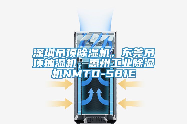 深圳吊頂草莓视频污污污污，東莞吊頂抽濕機，惠州工業草莓视频污污污污NMTD-581E