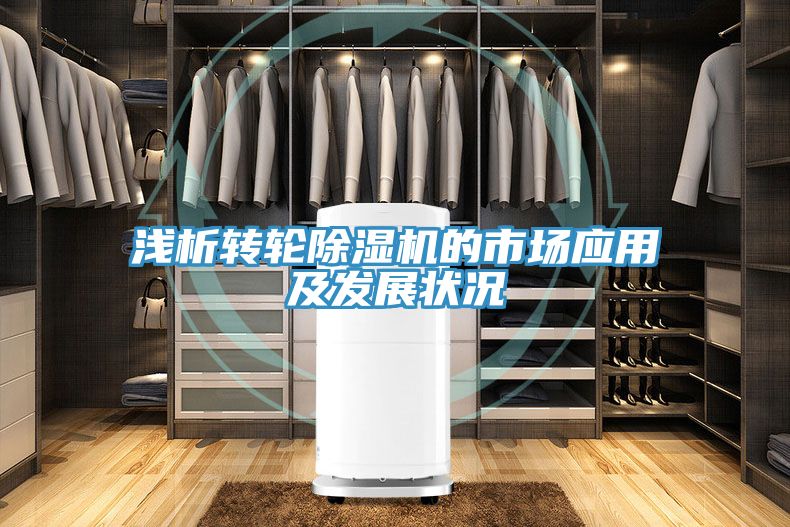 淺析轉輪草莓视频污污污污的市場應用及發展狀況