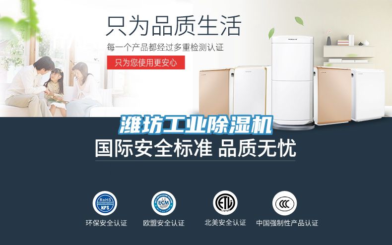 濰坊工業草莓视频污污污污