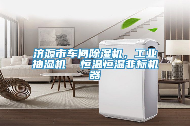 濟源市車間草莓视频污污污污，工業抽濕機  恒溫恒濕非標機器