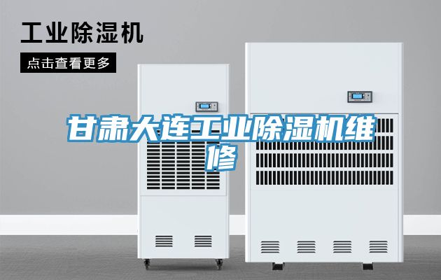甘肅大連工業草莓视频污污污污維修