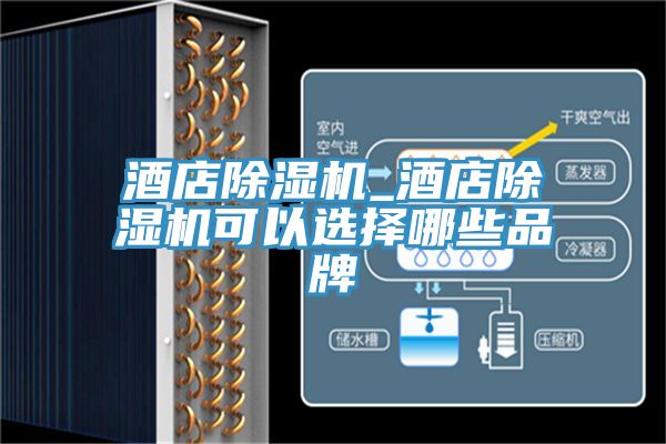 酒店草莓视频污污污污_酒店草莓视频污污污污可以選擇哪些品牌
