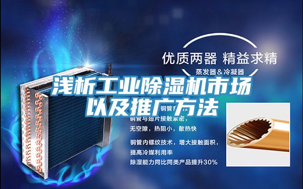 淺析工業草莓视频污污污污市場以及推廣方法