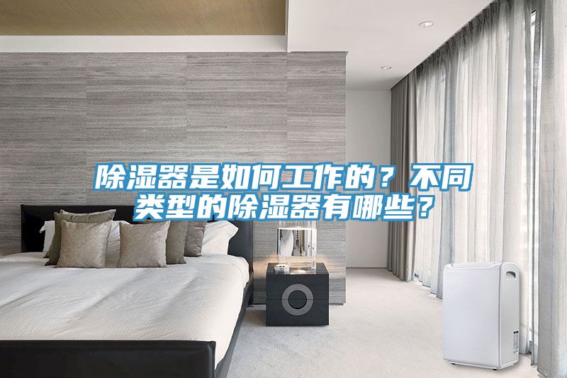 除濕器是如何工作的？不同類型的除濕器有哪些？
