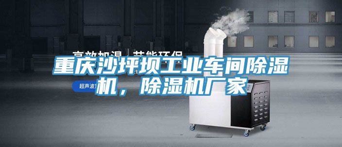 重慶沙坪壩工業車間草莓视频污污污污，草莓视频污污污污廠家