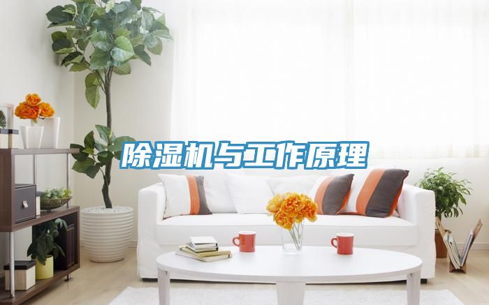 草莓视频污污污污與工作原理