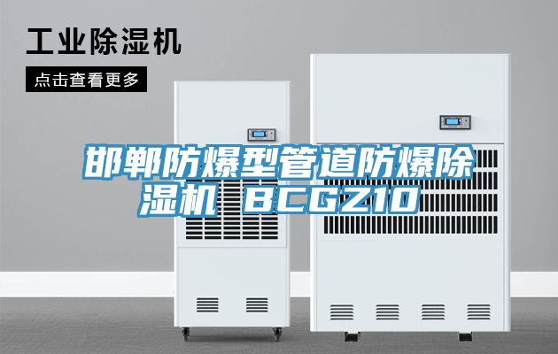 邯鄲防爆型管道防爆草莓视频污污污污 BCGZ10
