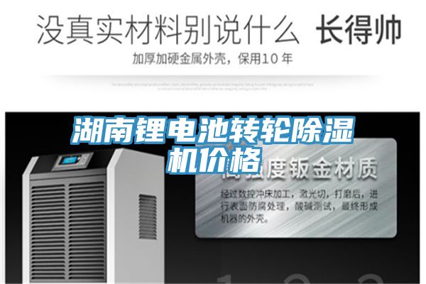 湖南鋰電池轉輪草莓视频污污污污價格