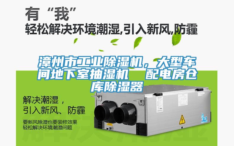 漳州市工業草莓视频污污污污，大型車間地下室抽濕機  配電房倉庫除濕器