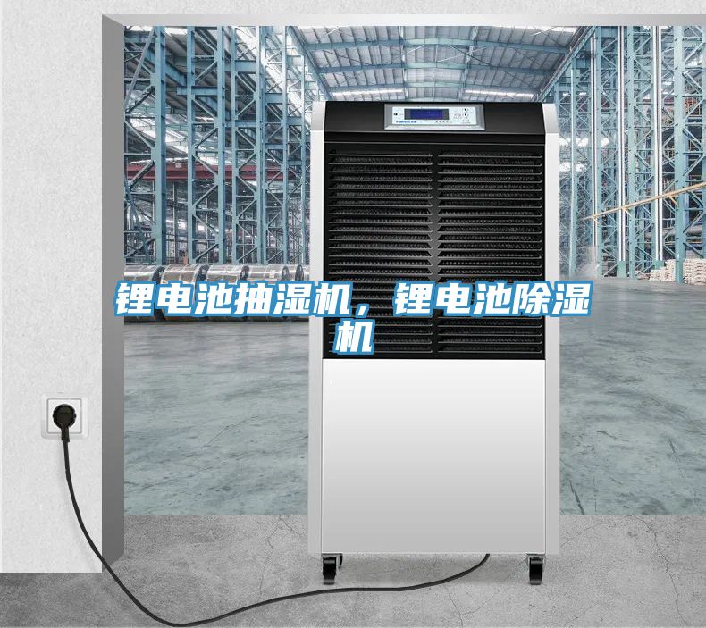 鋰電池抽濕機，鋰電池草莓视频污污污污